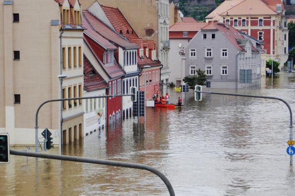 What is the future of flood insurance?
