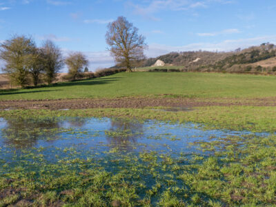 Groundwater Flooding – Early Alerts for Winterbourne, Dorset