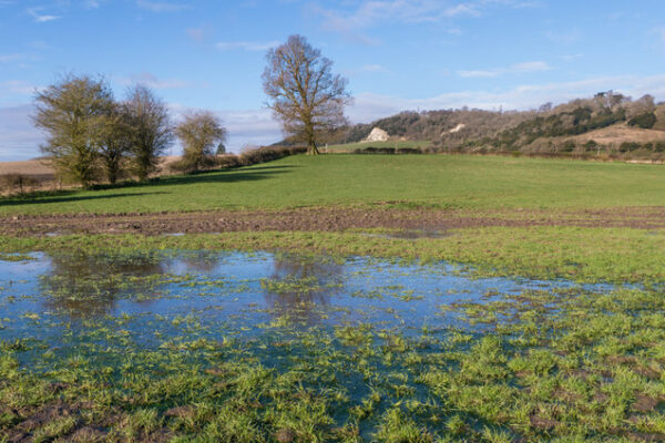 Groundwater Flooding – Early Alerts for Winterbourne, Dorset